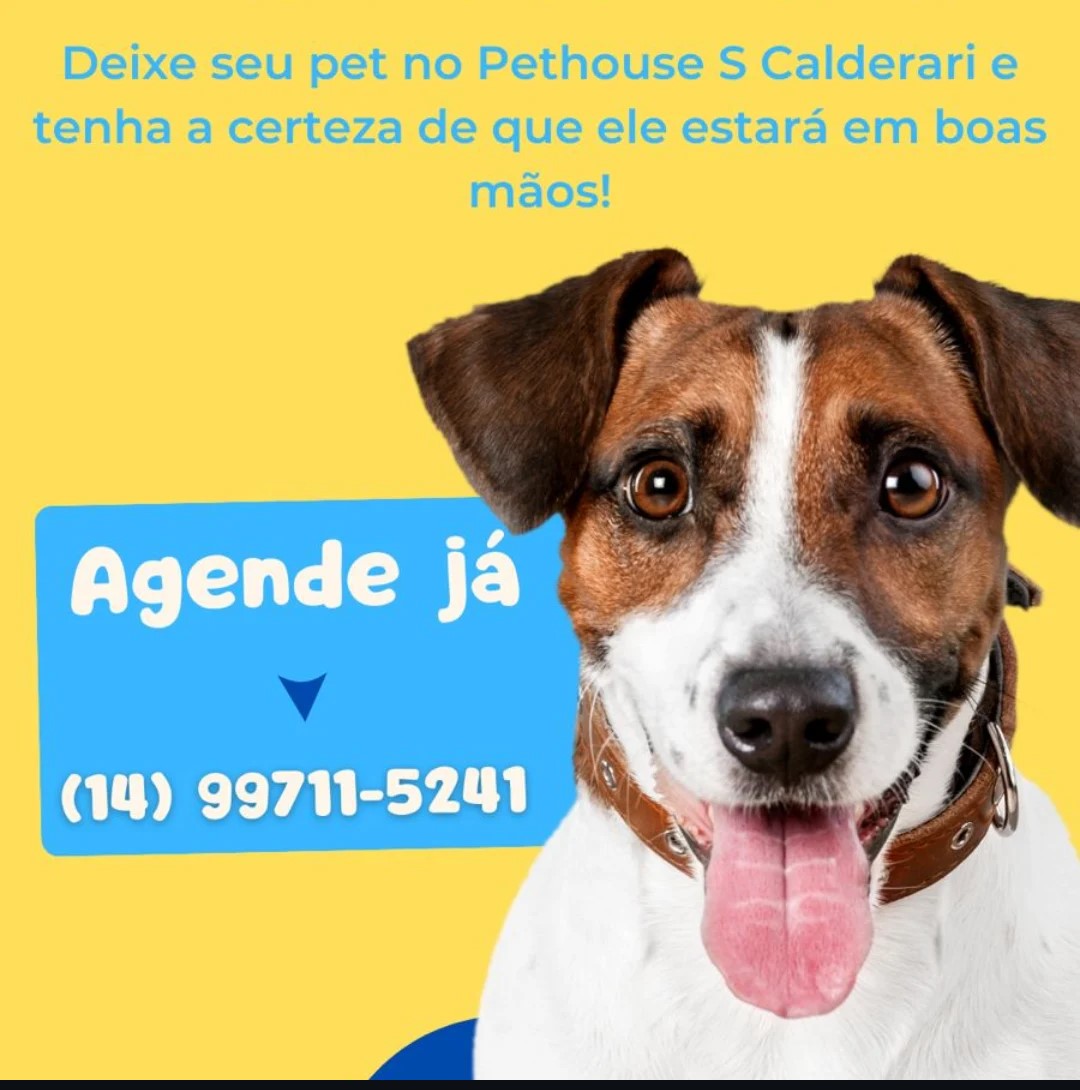 Pet House S Calderari